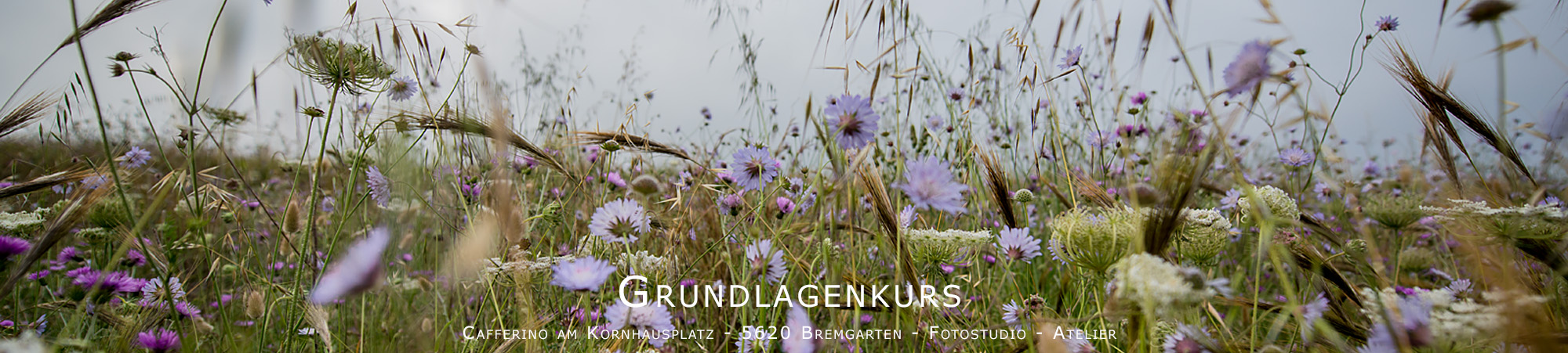 Grundlagenkurs