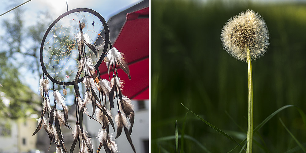 Fotokurs für Einsteiger