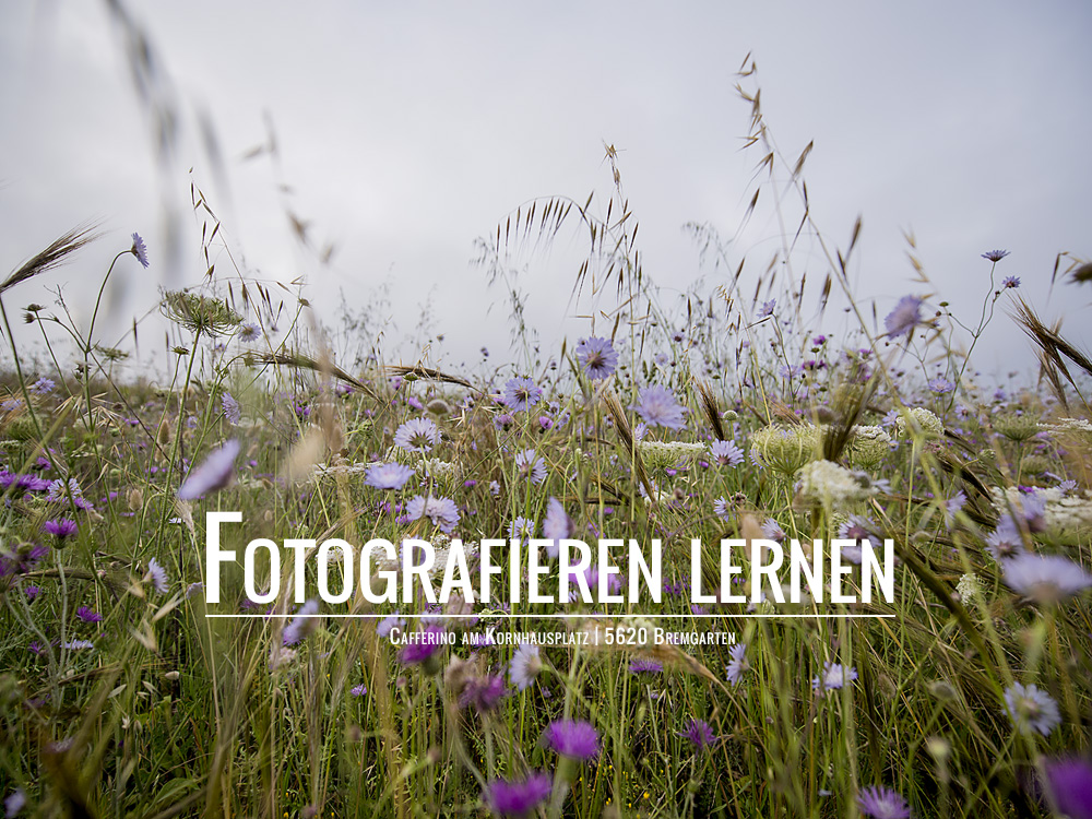 Fotografieren_Lernen
