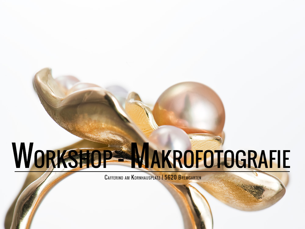FotoWorkshop Makrofotografie 1