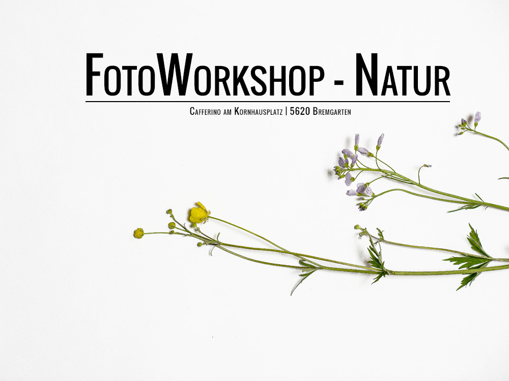 Fotografie-Workshop-Natur