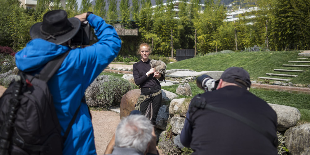 FotoCamp-Tierfotografie