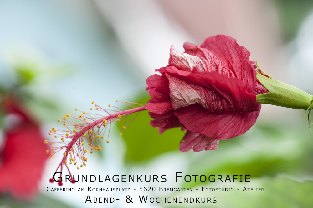 Grundlagenkurs Fotografie