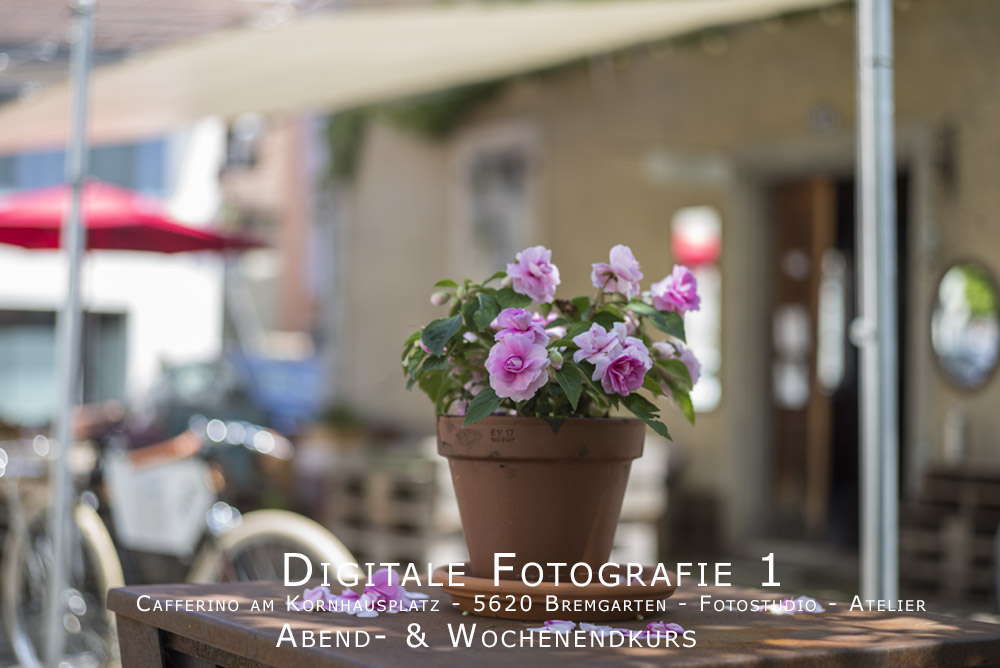 Digitale Fotografie 1