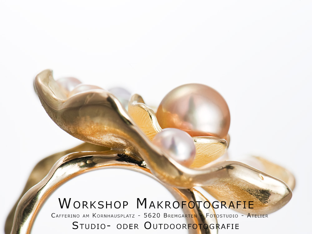 Workshop Makrofotografie